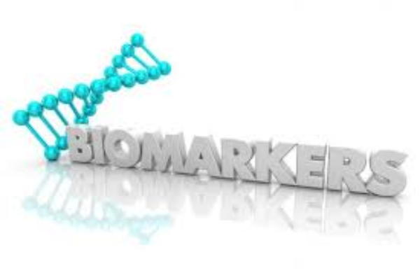 Identifying Biomarkers for Ovarian Cancer