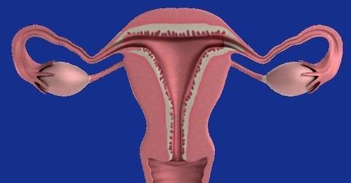 Rapid test for ovarian cancer detection being developed